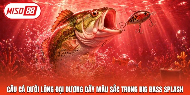 Câu cá dưới lòng đại dương đầy màu sắc trong Big Bass Splash