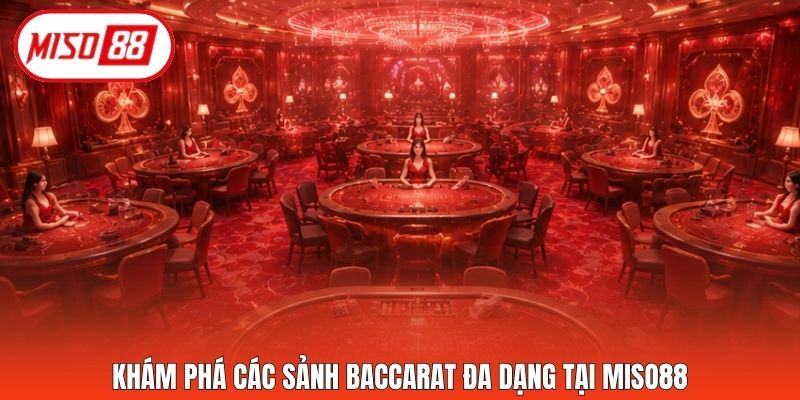Khám phá các sảnh Baccarat đa dạng tại Miso88